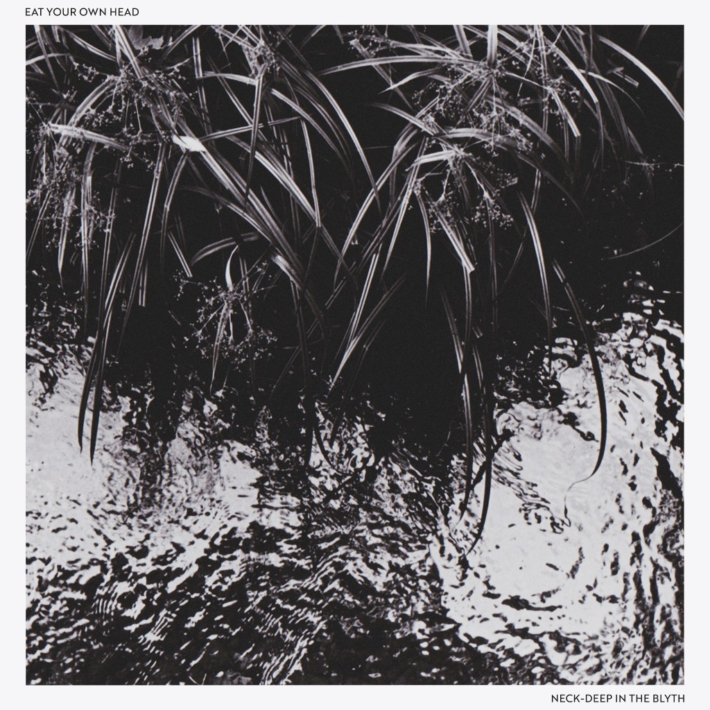 Review: Eat Your Own Head – Neck-Deep In The&nbsp;Blyth